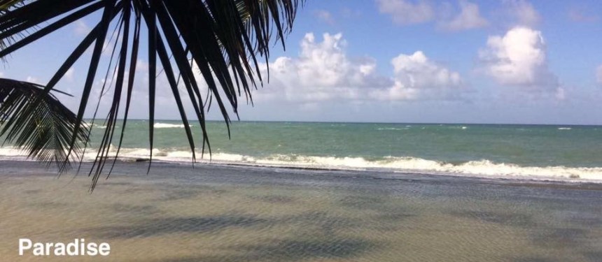 15665487_1346624762054572_7121343595682596448_n