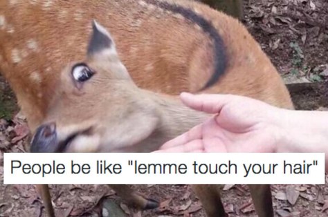 curly-hair-dont-care-2-23958-1453359291-7_dblbig